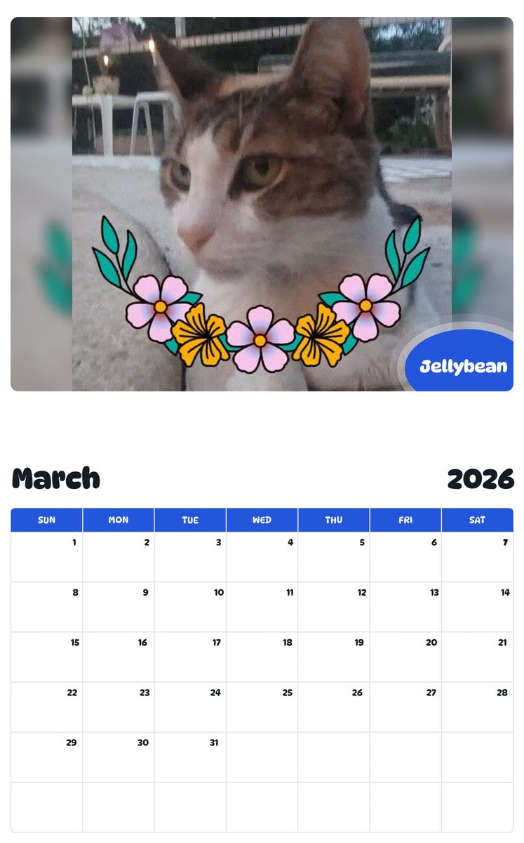 November 2025 - October 2026 Jellybean - Pawidols Pet Calendar