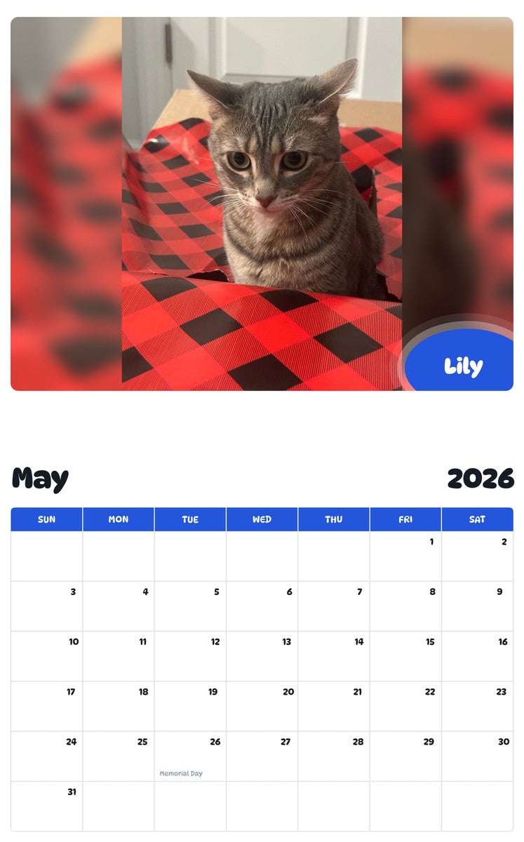 2026 - 2027 Lily - Pawidols Pet Calendar
