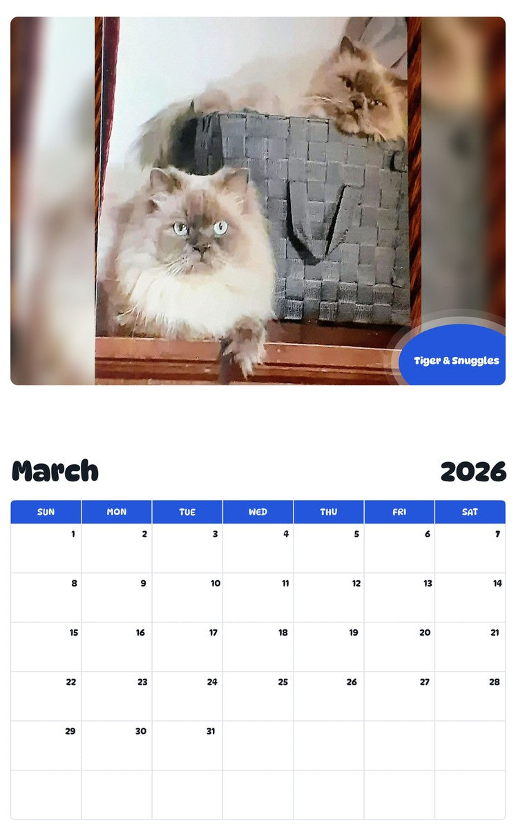 November 2025 - October 2026 Tiger & Snuggles - Pawidols Pet Calendar