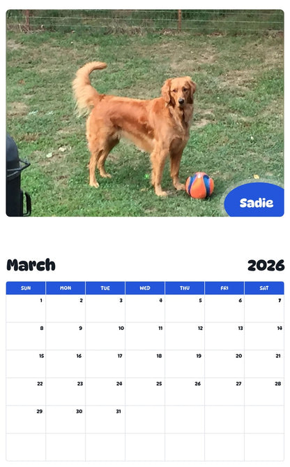 November 2025 - October 2026 Sadie - Pawidols Pet Calendar
