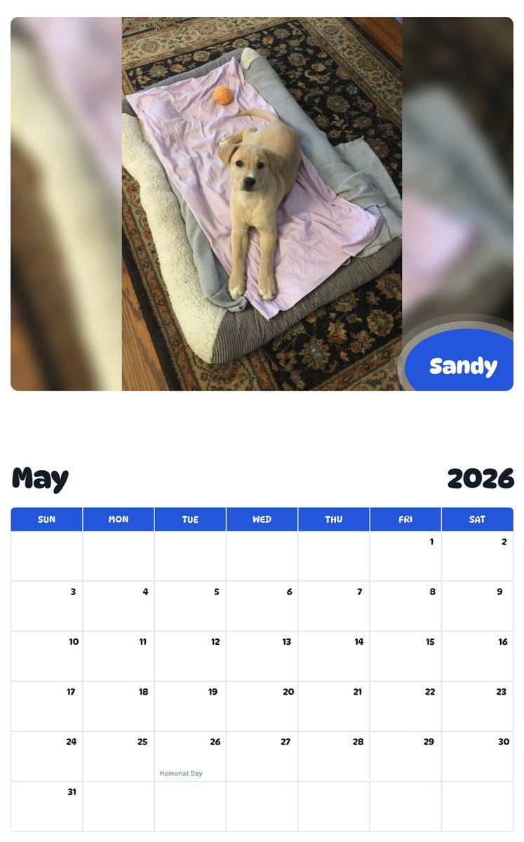 2026 - 2027 Sandy - Pawidols Pet Calendar
