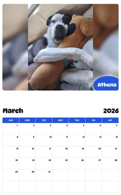 November 2025 - October 2026 Athena - Pawidols Pet Calendar