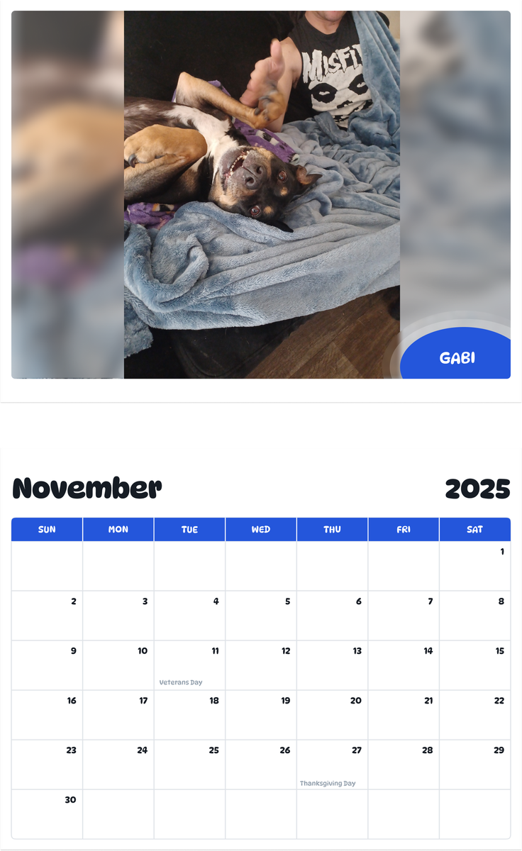 July 2025 - June 2026 Gabi - Pawidols Pet Calendar