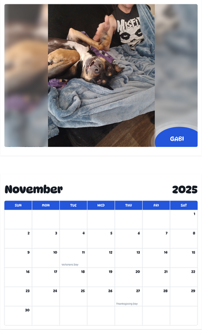 July 2025 - June 2026 Gabi - Pawidols Pet Calendar