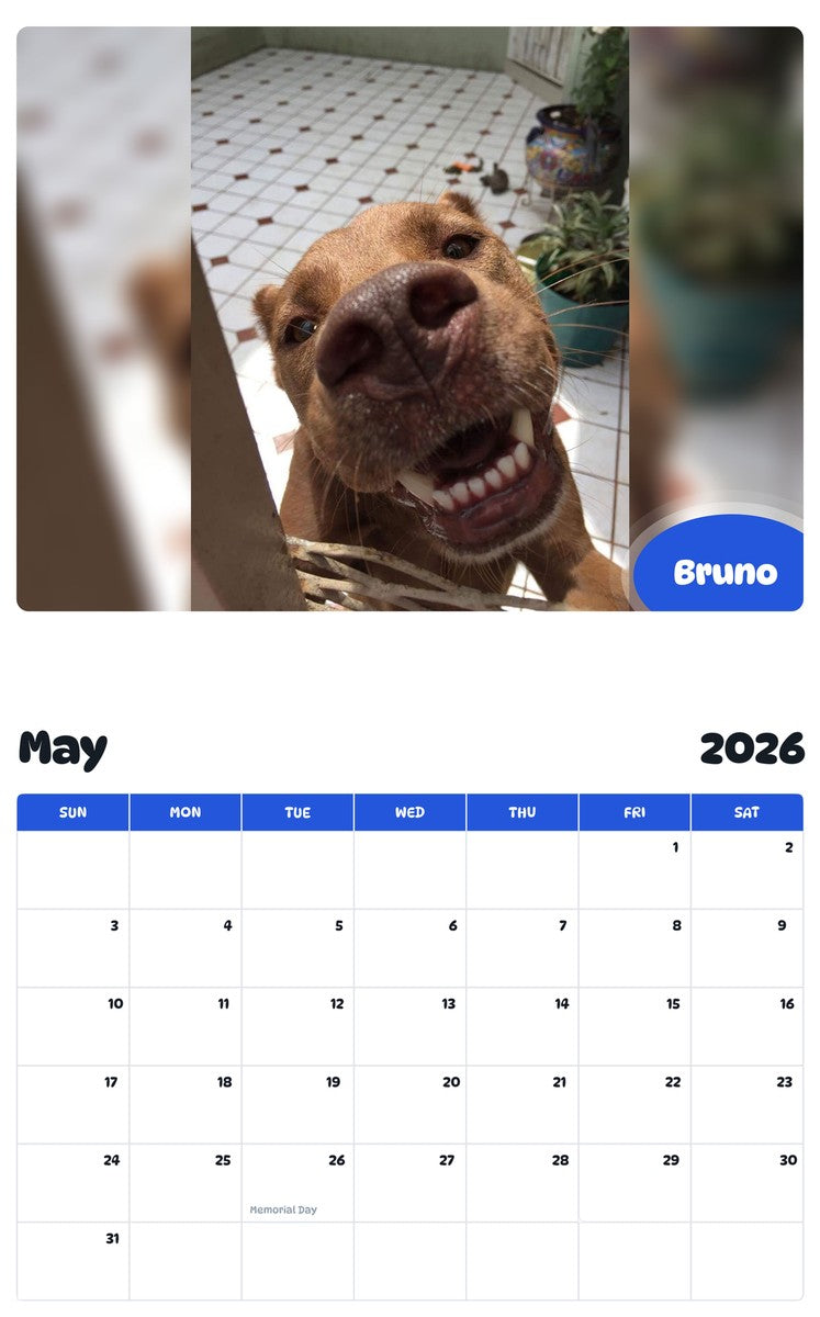 2026 - 2027 Bruno - Pawidols Pet Calendar
