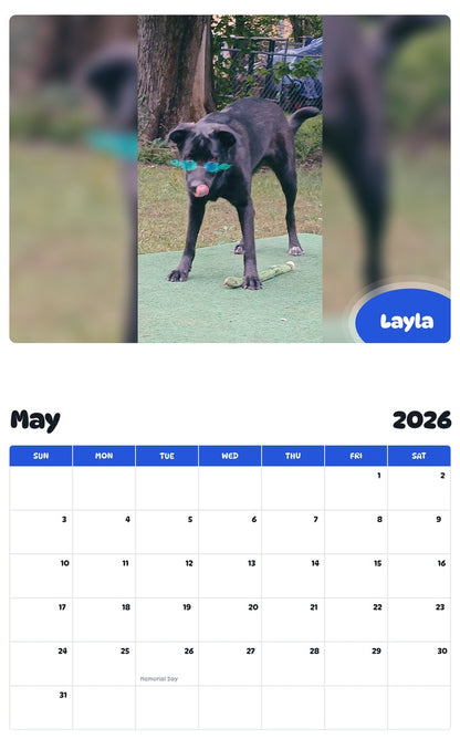 2026 - 2027 Layla - Pawidols Pet Calendar