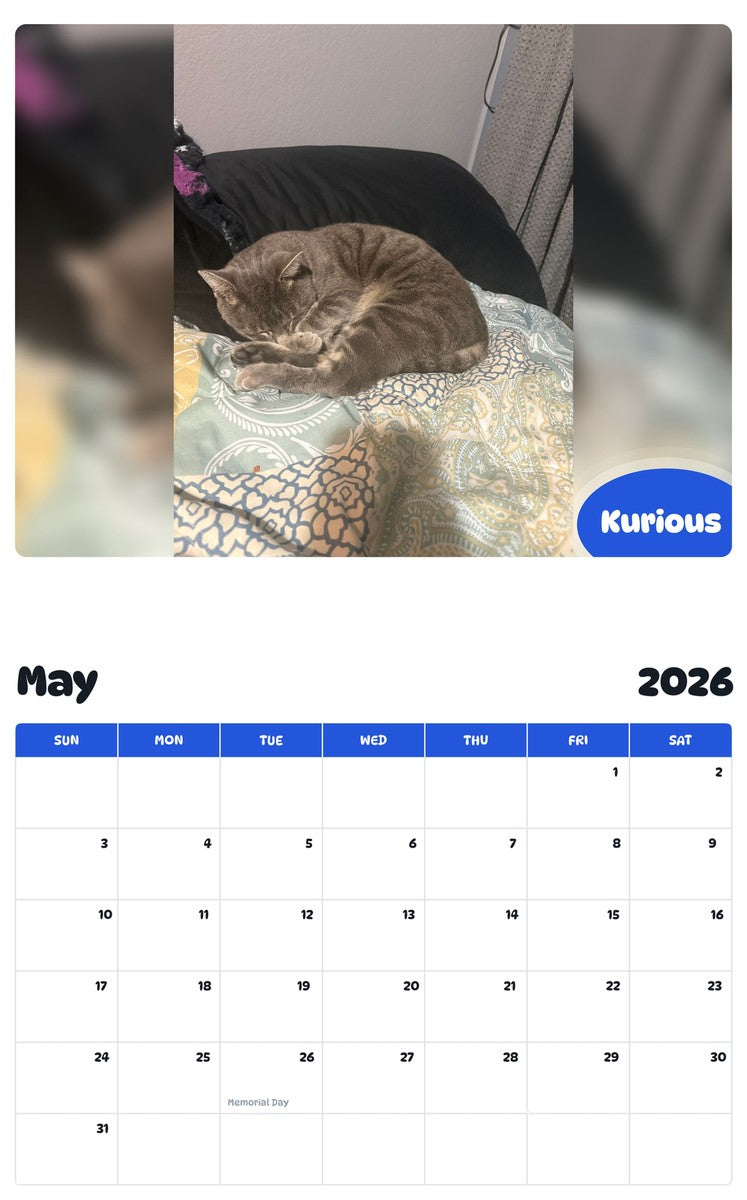 2026 - 2027 Kurious - Pawidols Pet Calendar