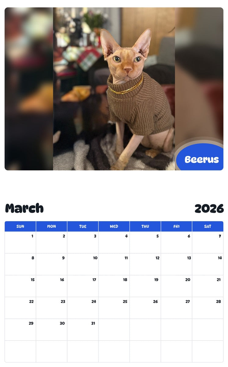 November 2025 - October 2026 Beerus - Pawidols Pet Calendar