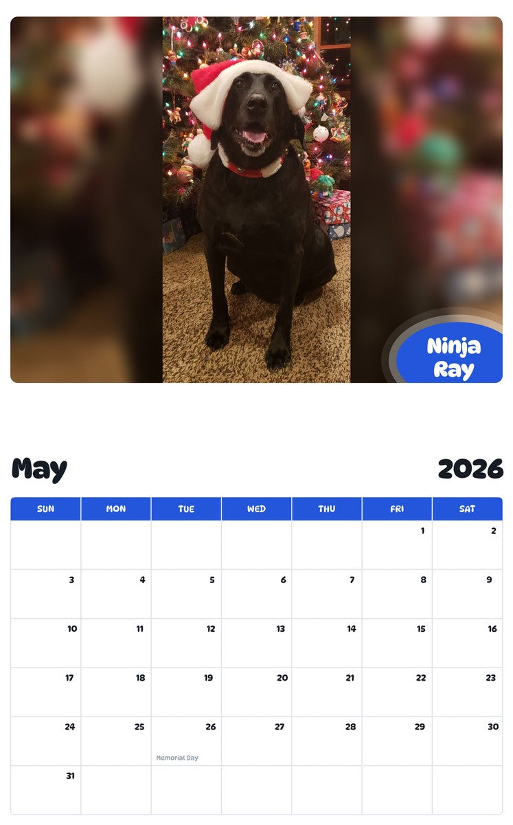 2026 - 2027 Ninja Ray - Pawidols Pet Calendar