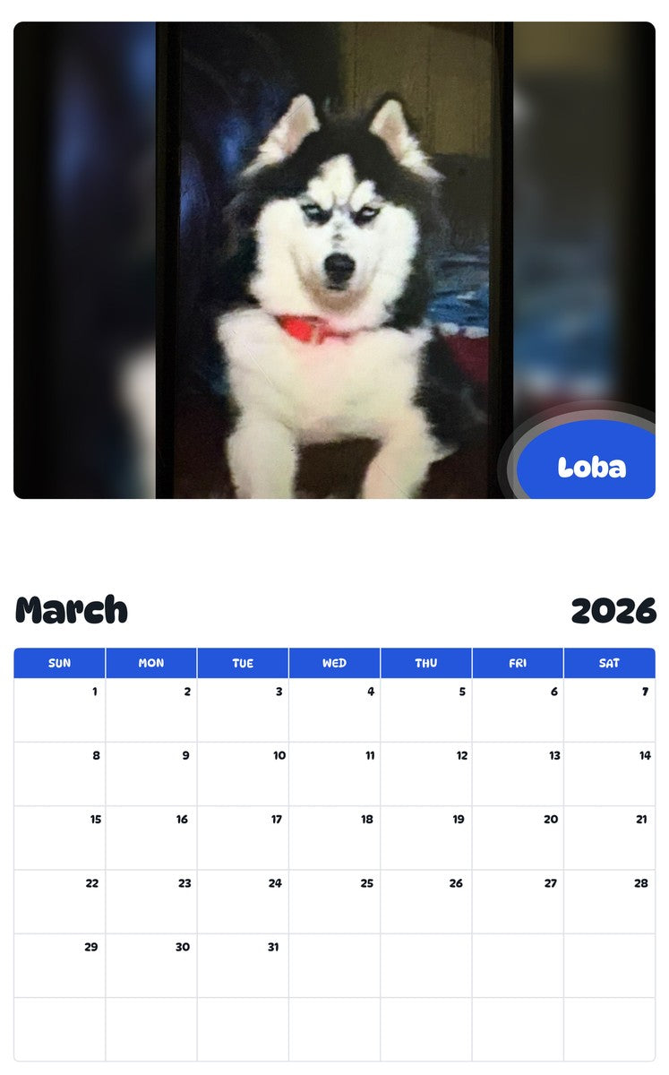 November 2025 - October 2026 Loba - Pawidols Pet Calendar