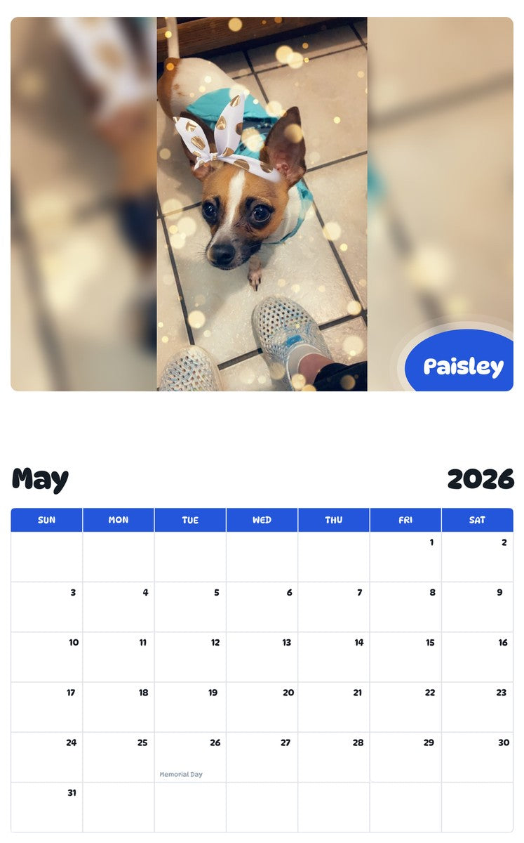 2026 - 2027 Paisley - Pawidols Pet Calendar