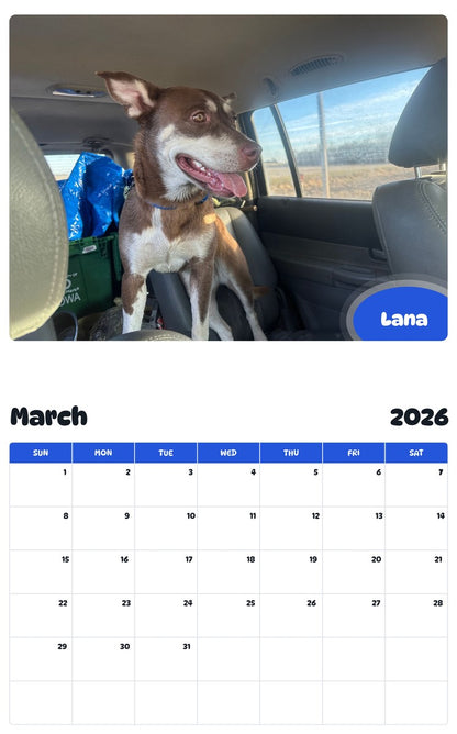 November 2025 - October 2026 Lana - Pawidols Pet Calendar