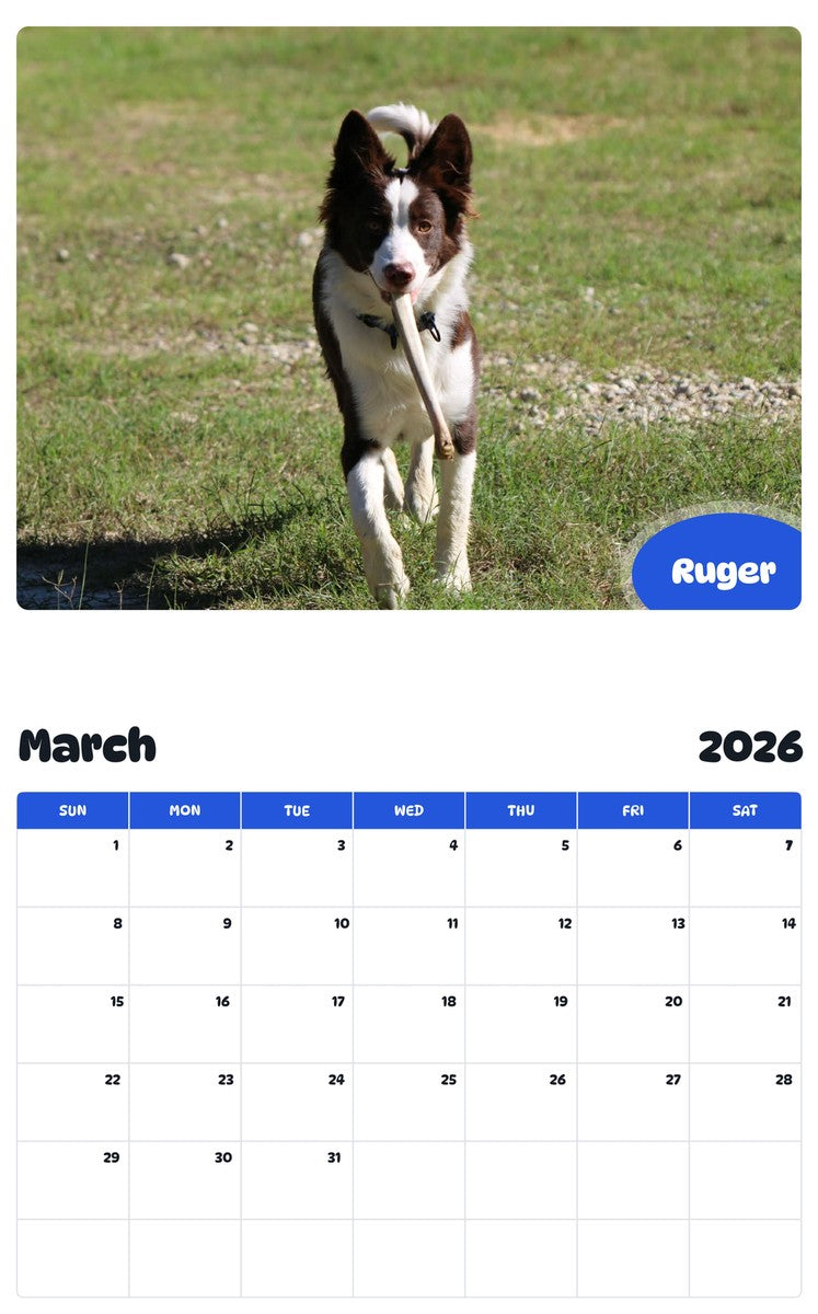November 2025 - October 2026 Ruger - Pawidols Pet Calendar