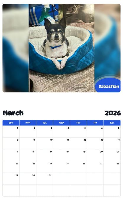 November 2025 - October 2026 Sabastian - Pawidols Pet Calendar