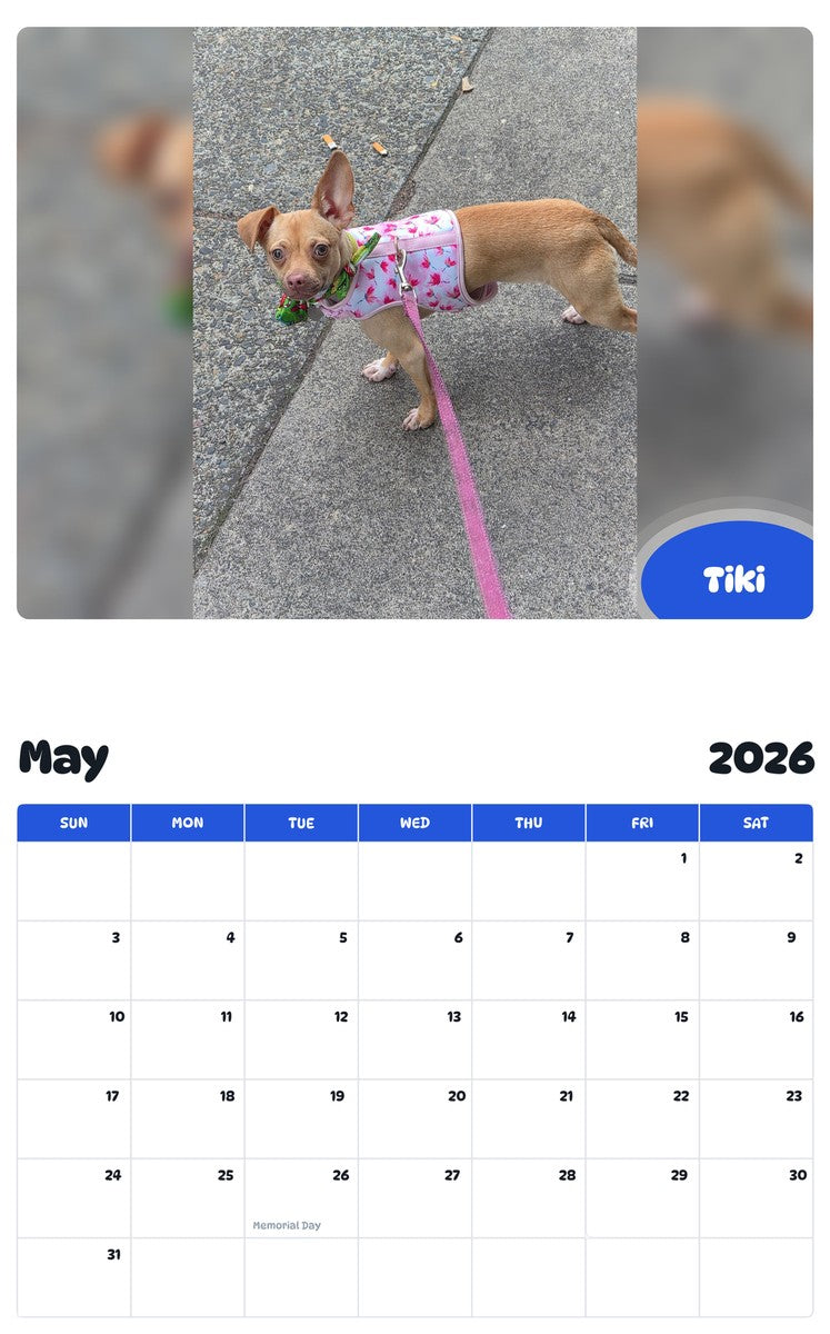 2026 - 2027 Tiki - Pawidols Pet Calendar
