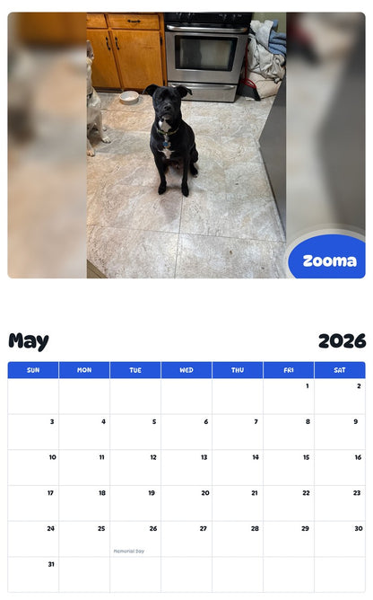 2026 - 2027 Zooma - Pawidols Pet Calendar