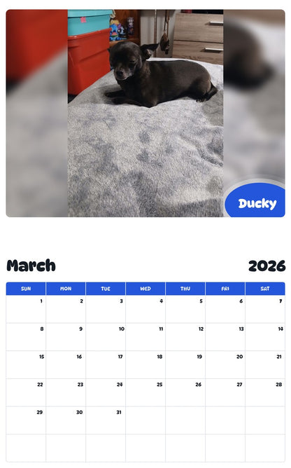November 2025 - October 2026 Ducky - Pawidols Pet Calendar