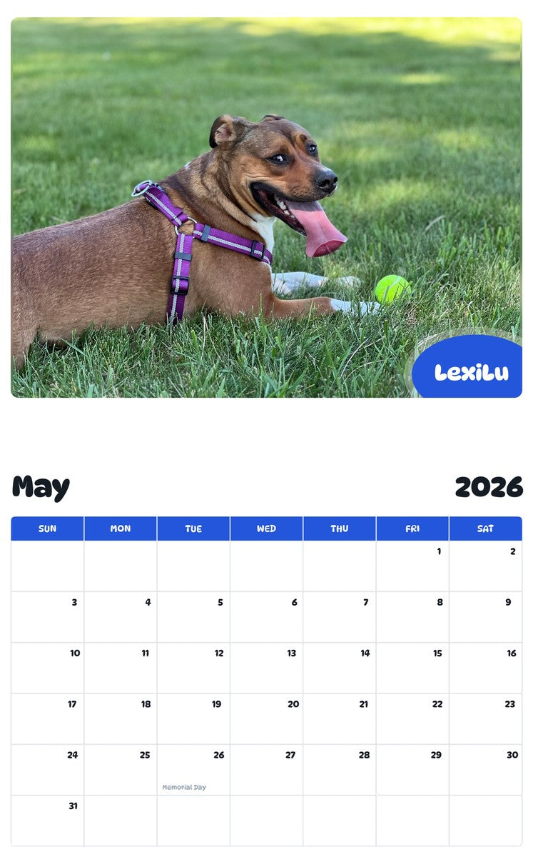 2026 - 2027 LexiLu - Pawidols Pet Calendar