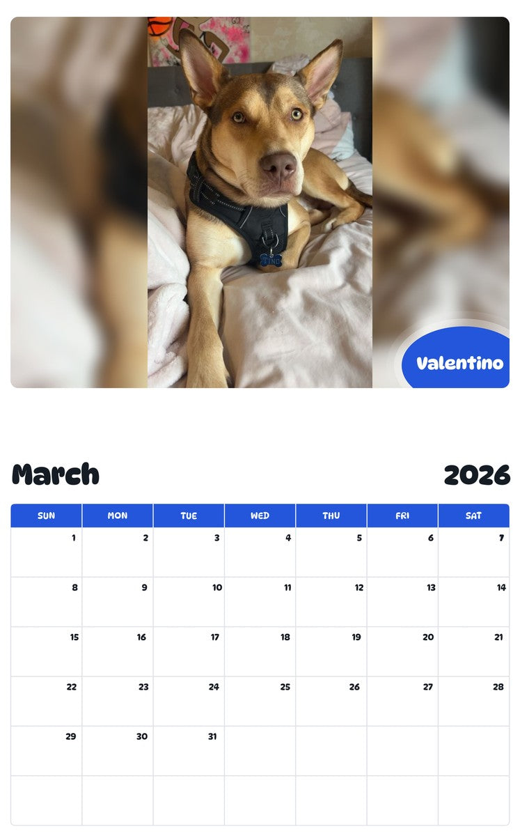 November 2025 - October 2026 Valentino - Pawidols Pet Calendar