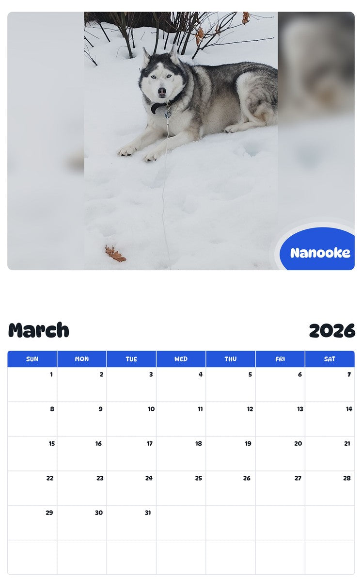 November 2025 - October 2026 Nanooke - Pawidols Pet Calendar