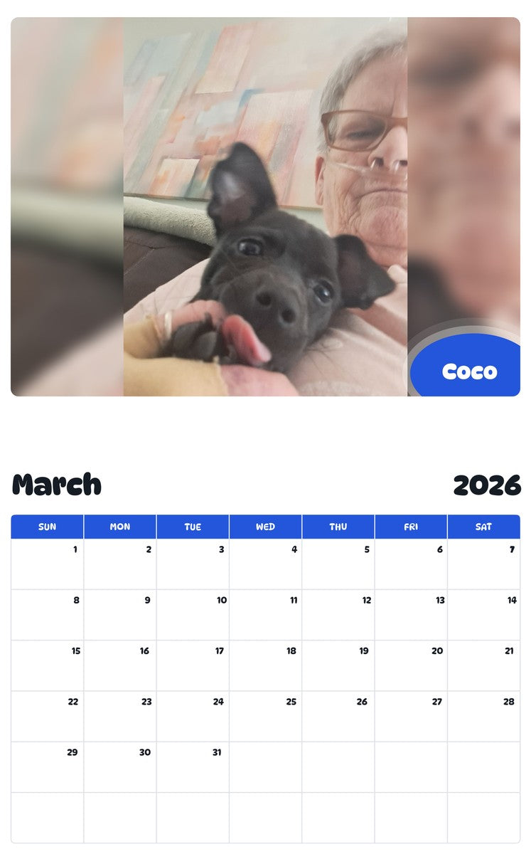 November 2025 - October 2026 Coco - Pawidols Pet Calendar