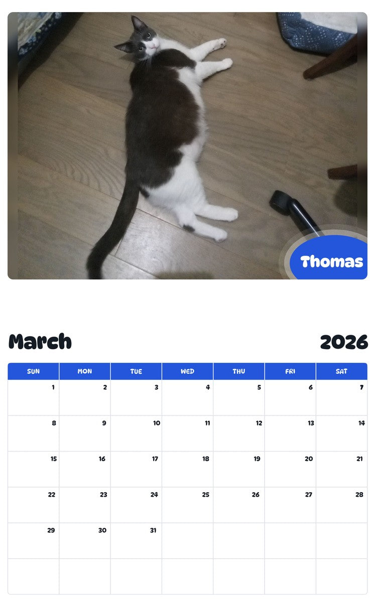 November 2025 - October 2026 Thomas - Pawidols Pet Calendar