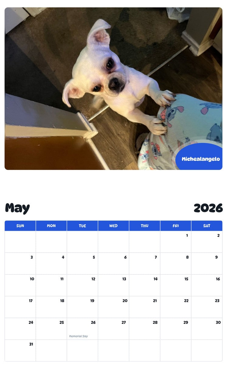 2026 - 2027 Michealangelo - Pawidols Pet Calendar