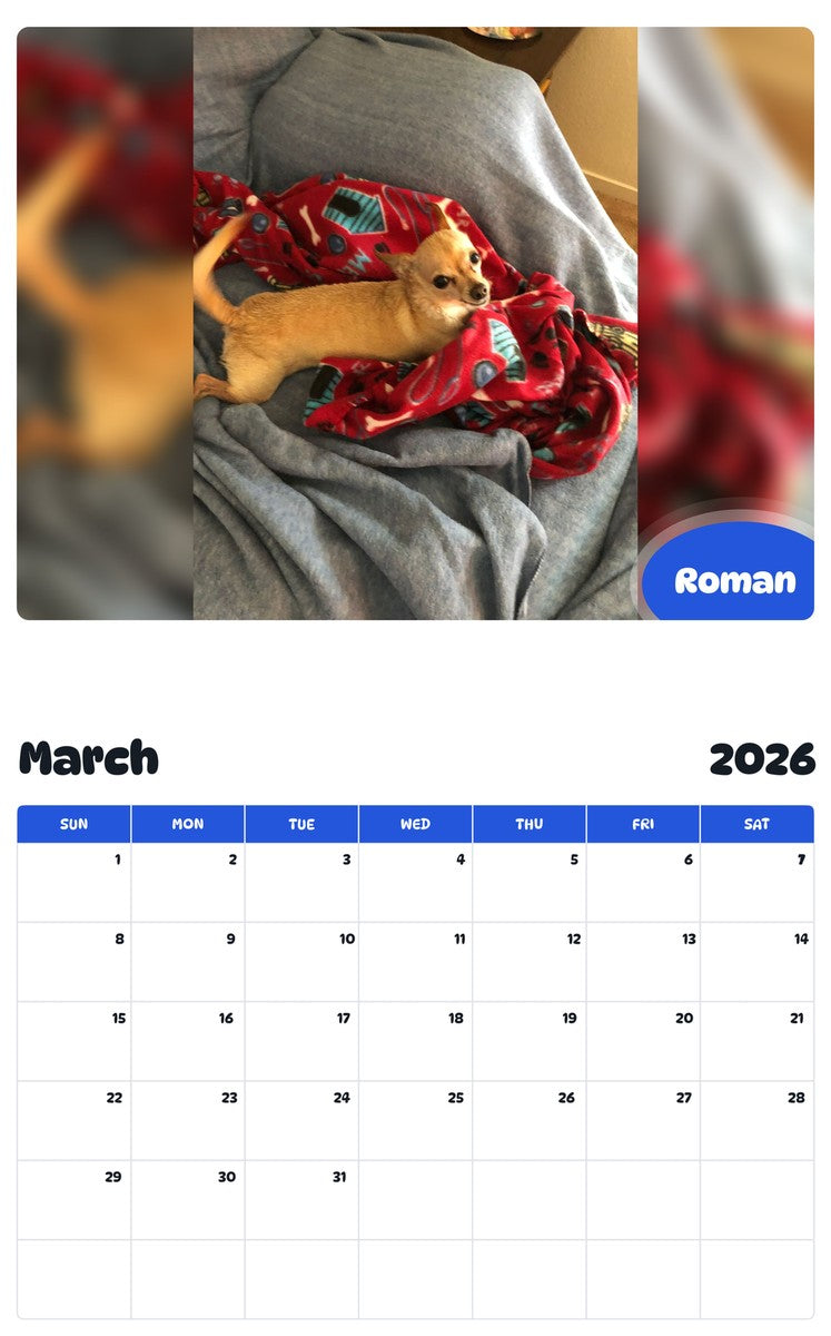 November 2025 - October 2026 Roman - Pawidols Pet Calendar
