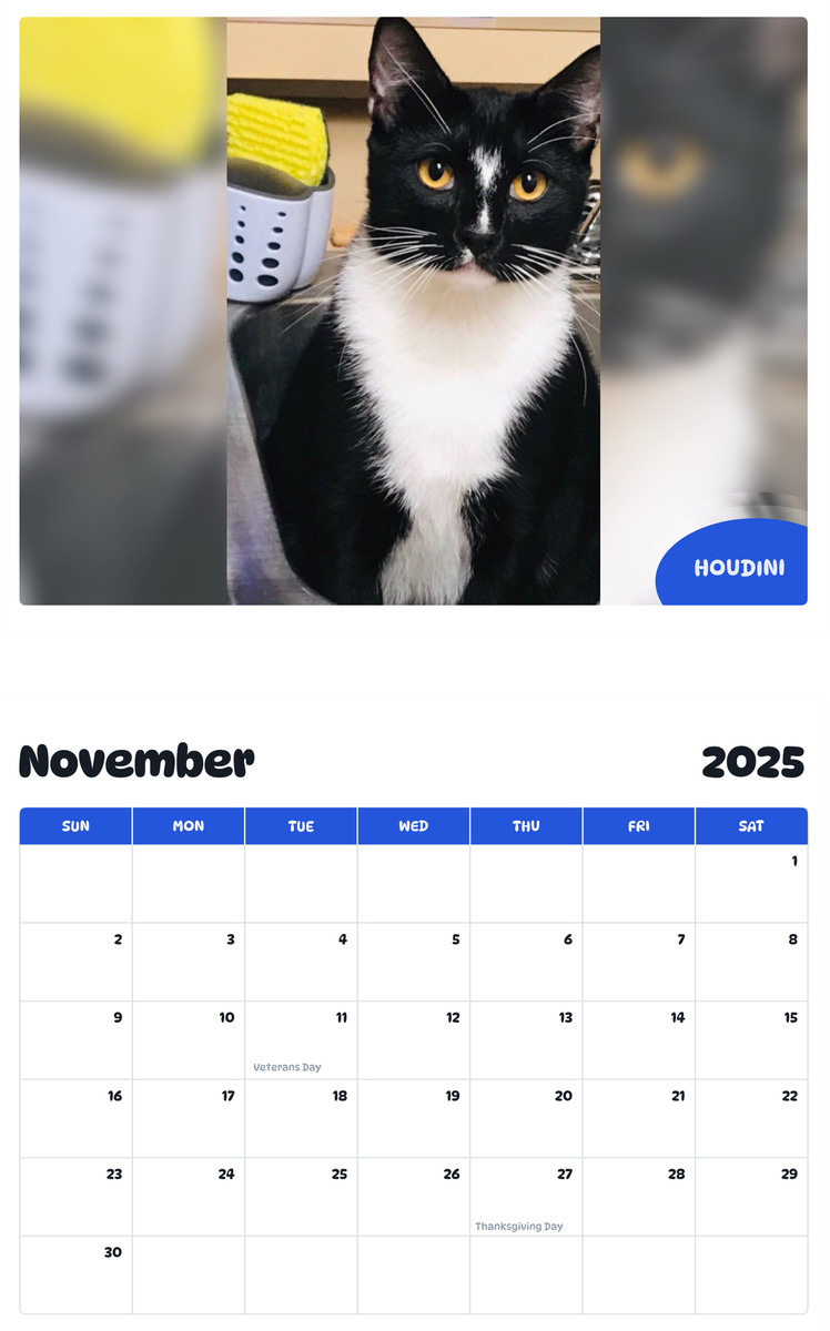 July 2025 - June 2026 Houdini - Pawidols Pet Calendar