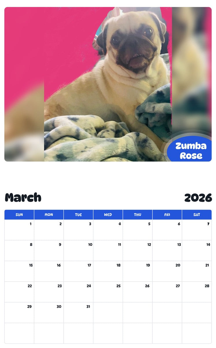 November 2025 - October 2026 Zumba Rose - Pawidols Pet Calendar