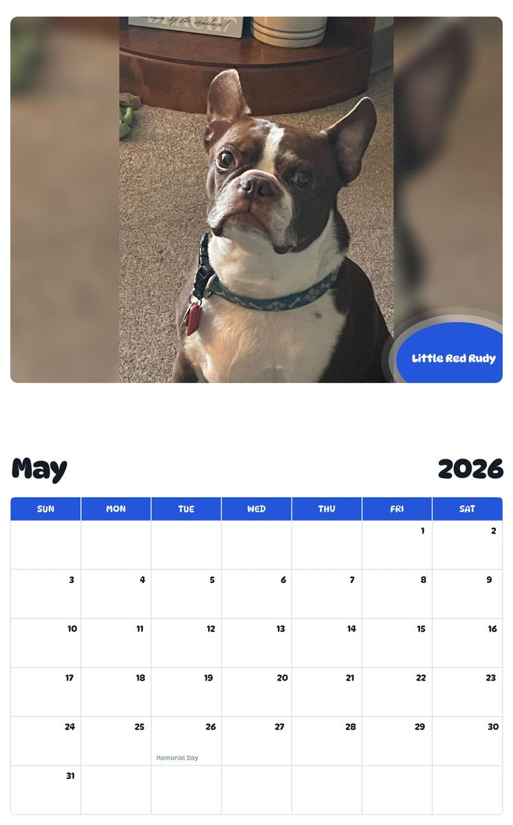 2026 - 2027 Little Red Rudy - Pawidols Pet Calendar