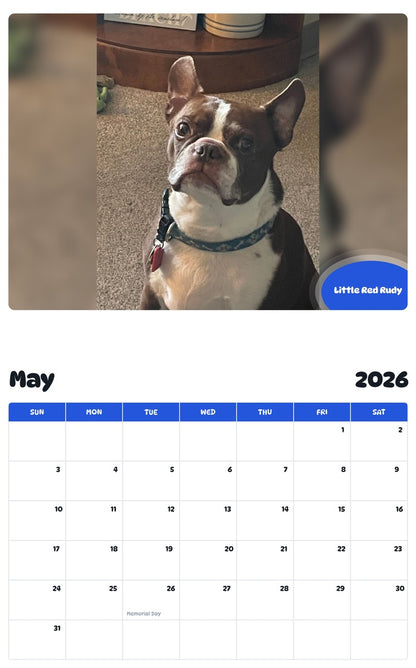 2026 - 2027 Little Red Rudy - Pawidols Pet Calendar