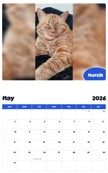 2026 - 2027 Murzik - Pawidols Pet Calendar