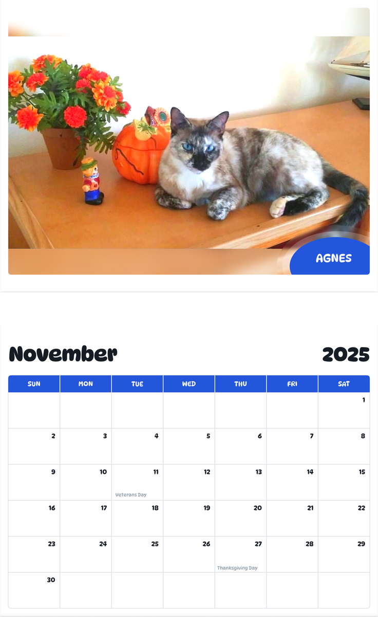 July 2025 - June 2026 Agnes - Pawidols Pet Calendar