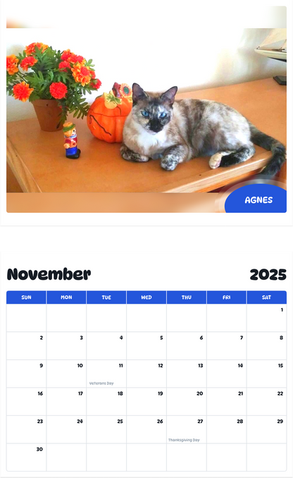 July 2025 - June 2026 Agnes - Pawidols Pet Calendar