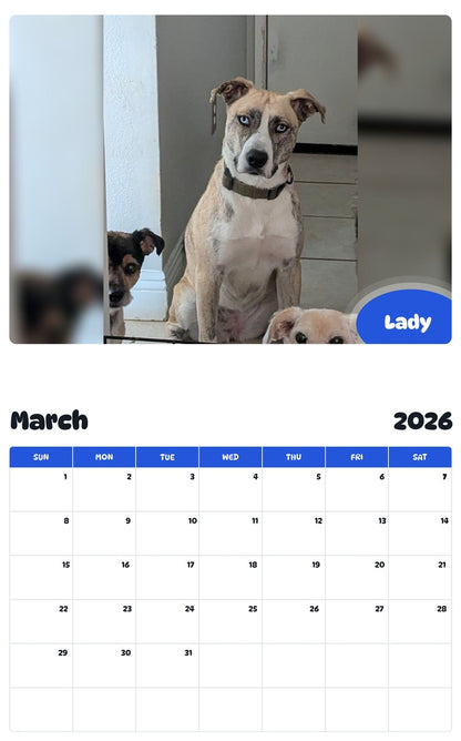 November 2025 - October 2026 Lady - Pawidols Pet Calendar