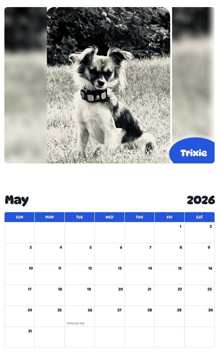 2026 - 2027 Trixie - Pawidols Pet Calendar