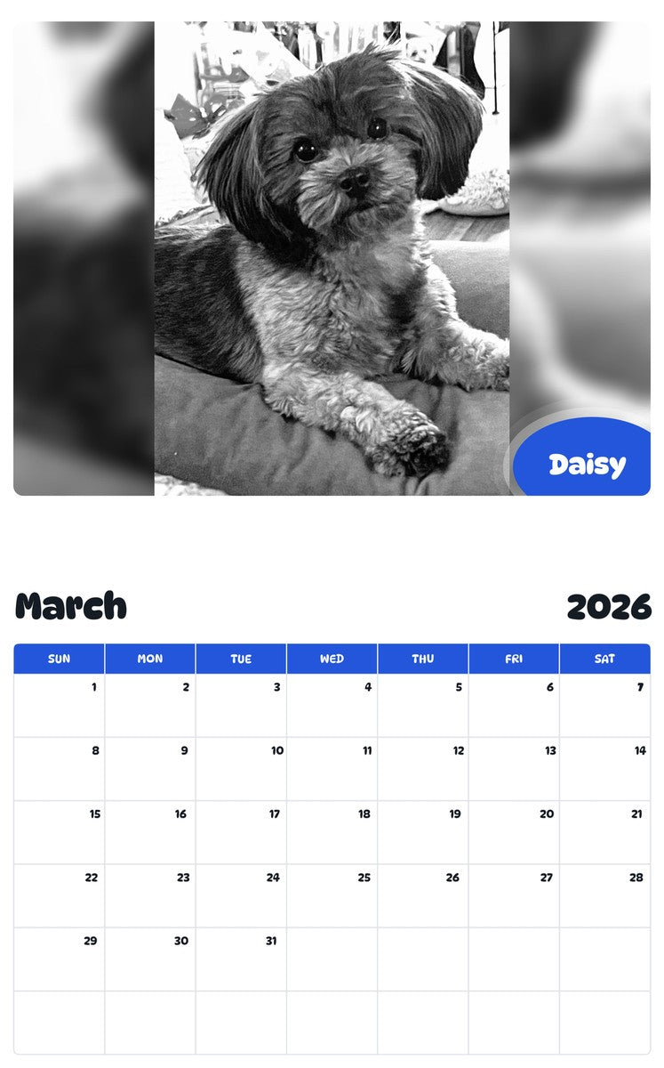 November 2025 - October 2026 Daisy - Pawidols Pet Calendar