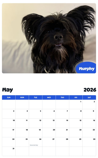 2026 - 2027 Murphy - Pawidols Pet Calendar