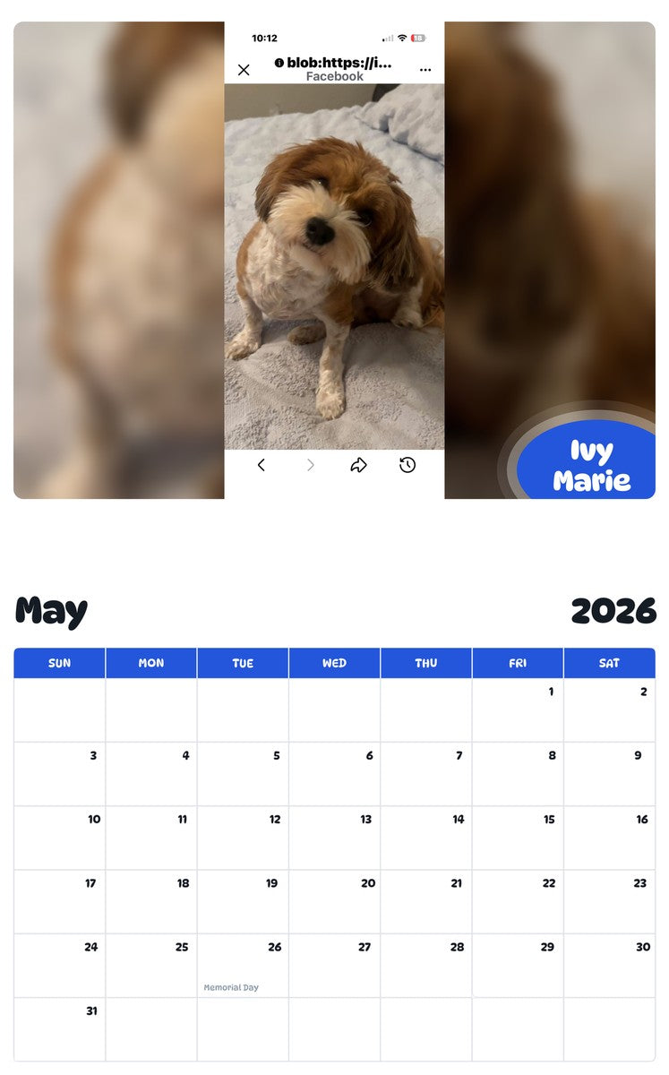 2026 - 2027 Ivy Marie - Pawidols Pet Calendar