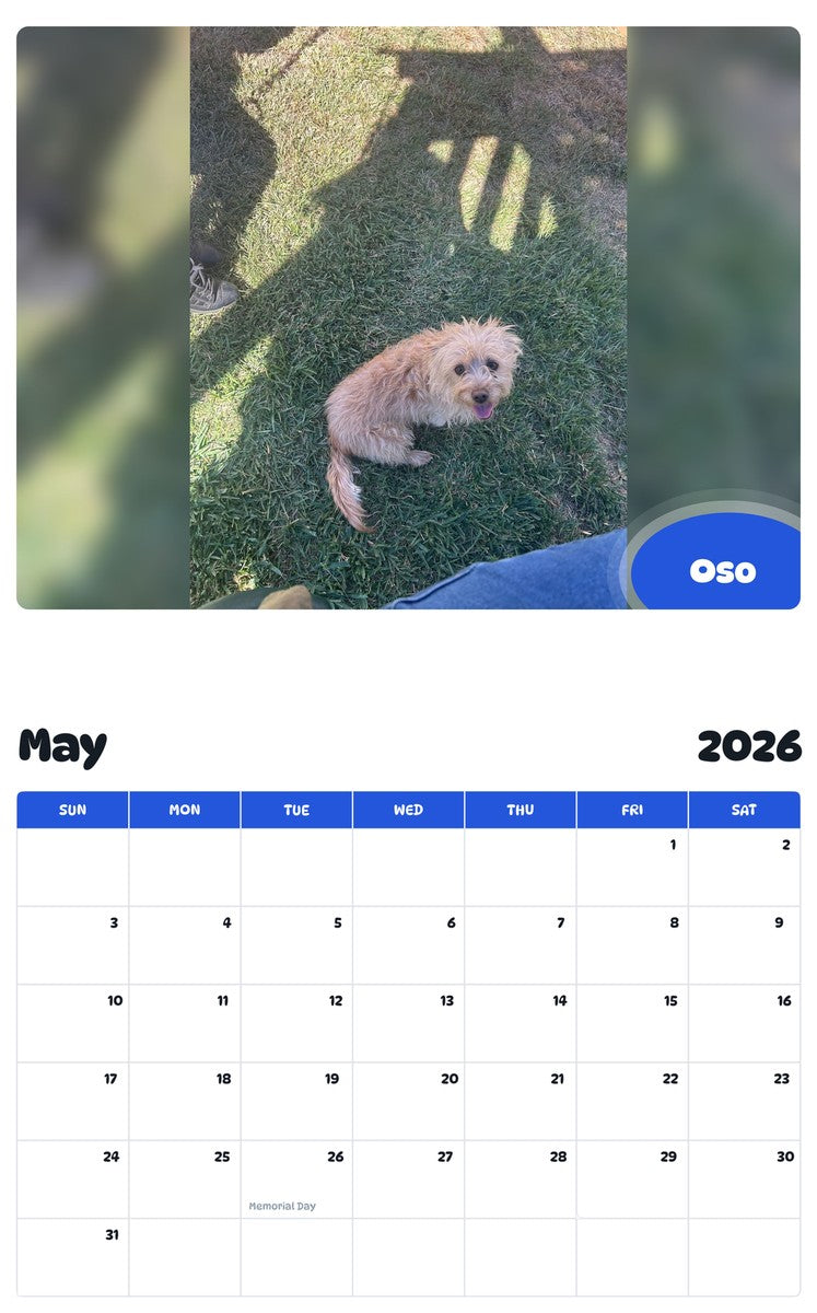 2026 - 2027 Oso - Pawidols Pet Calendar