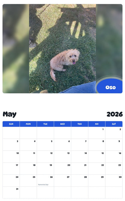 2026 - 2027 Oso - Pawidols Pet Calendar
