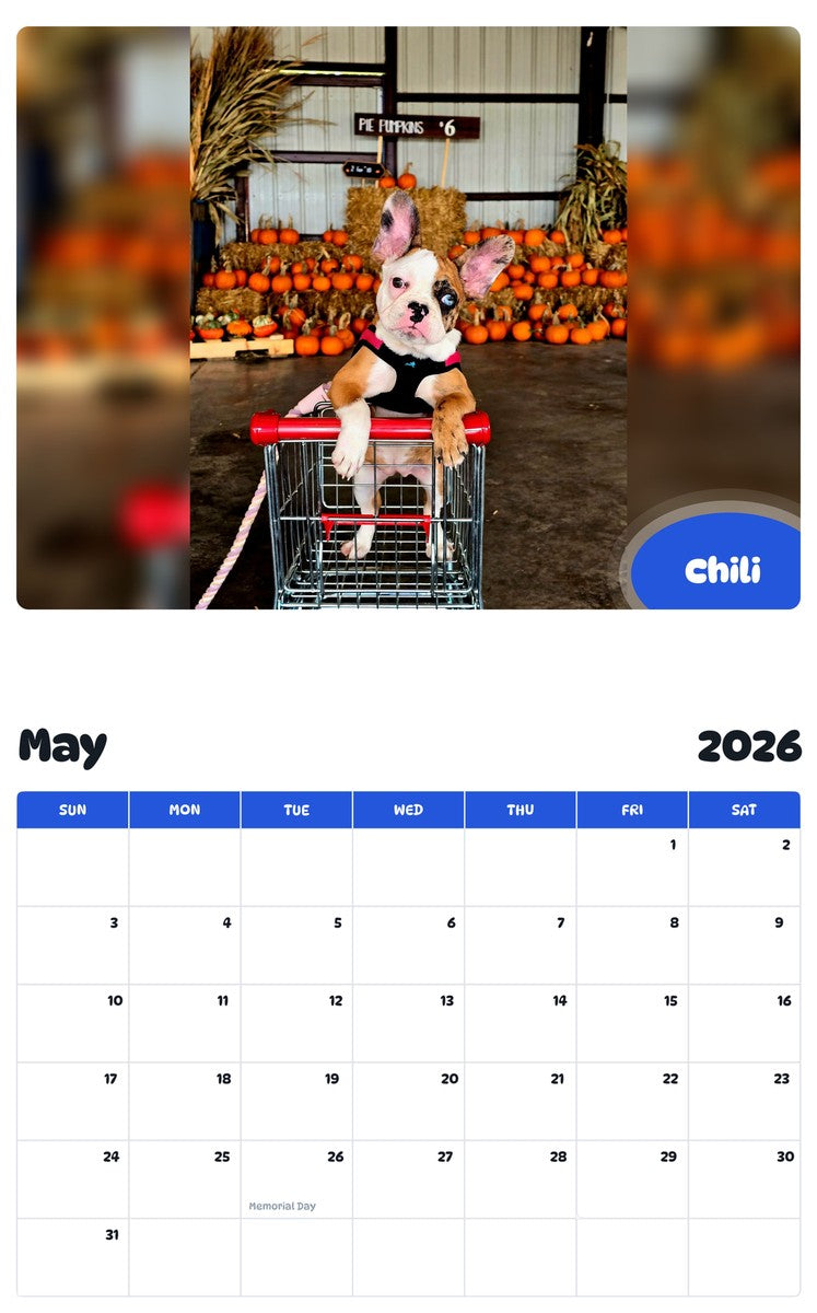 2026 - 2027 Chili - Pawidols Pet Calendar