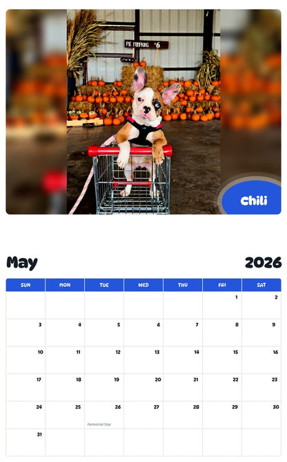 2026 - 2027 Chili - Pawidols Pet Calendar