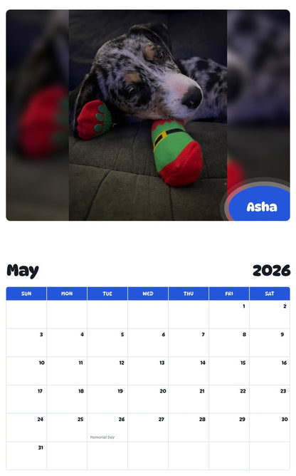 2026 - 2027 Asha - Pawidols Pet Calendar