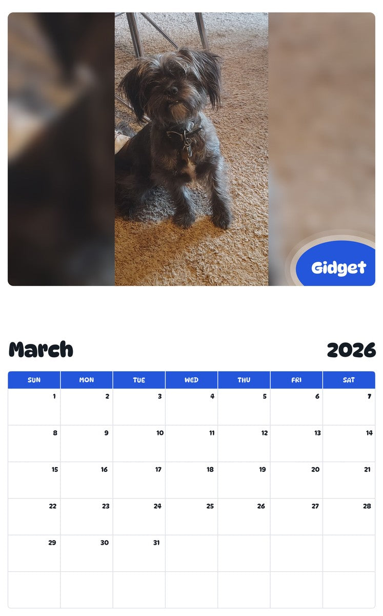 November 2025 - October 2026 Gidget - Pawidols Pet Calendar