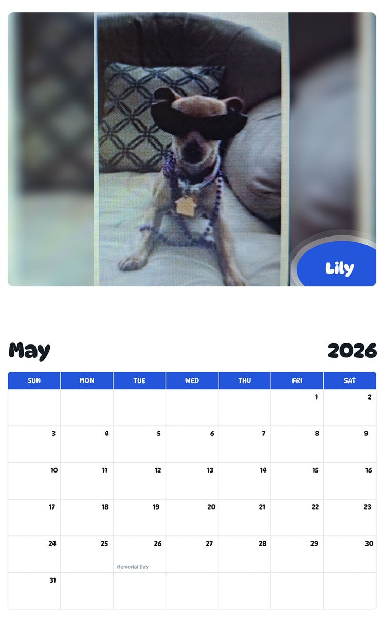2026 - 2027 Lily - Pawidols Pet Calendar