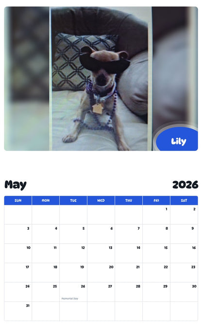 2026 - 2027 Lily - Pawidols Pet Calendar