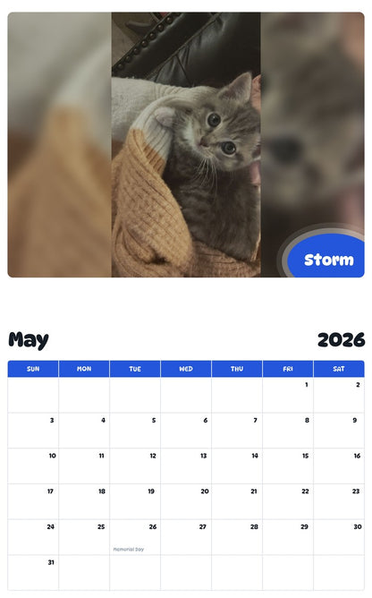 2026 - 2027 Storm - Pawidols Pet Calendar