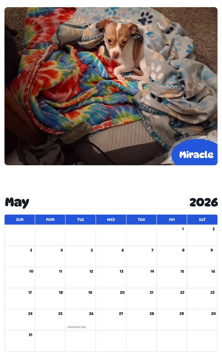 2026 - 2027 Miracle - Pawidols Pet Calendar